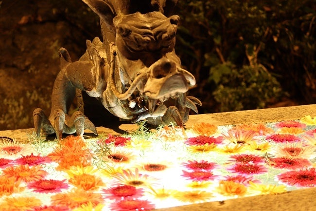 花手水のライトアップ