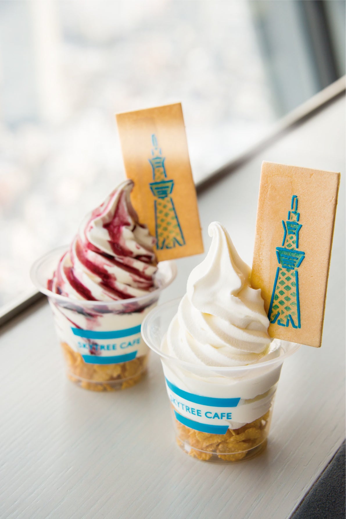 スカイソフト(イメージ)