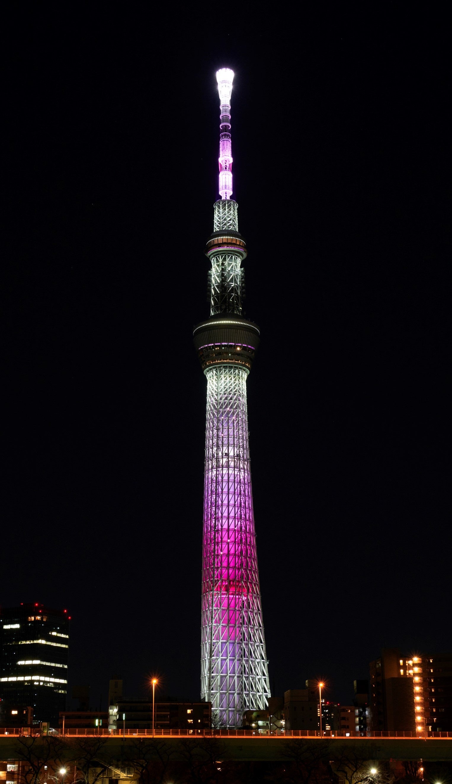 特別ライティング「舞」©TOKYO-SKYTREE