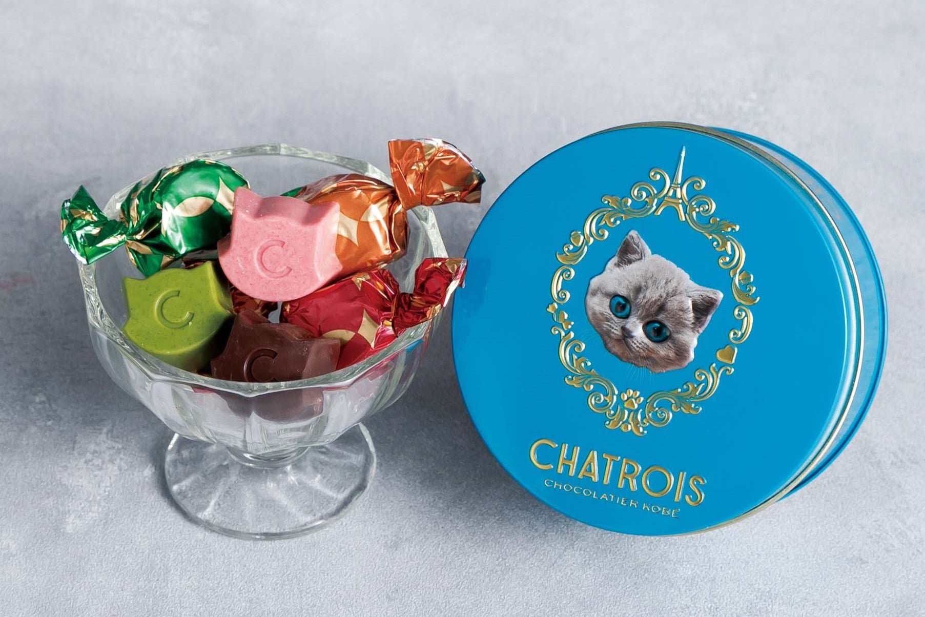 2月22日は「猫の日」！東京ソラマチ(R) 猫の日フェア | 東京スカイ