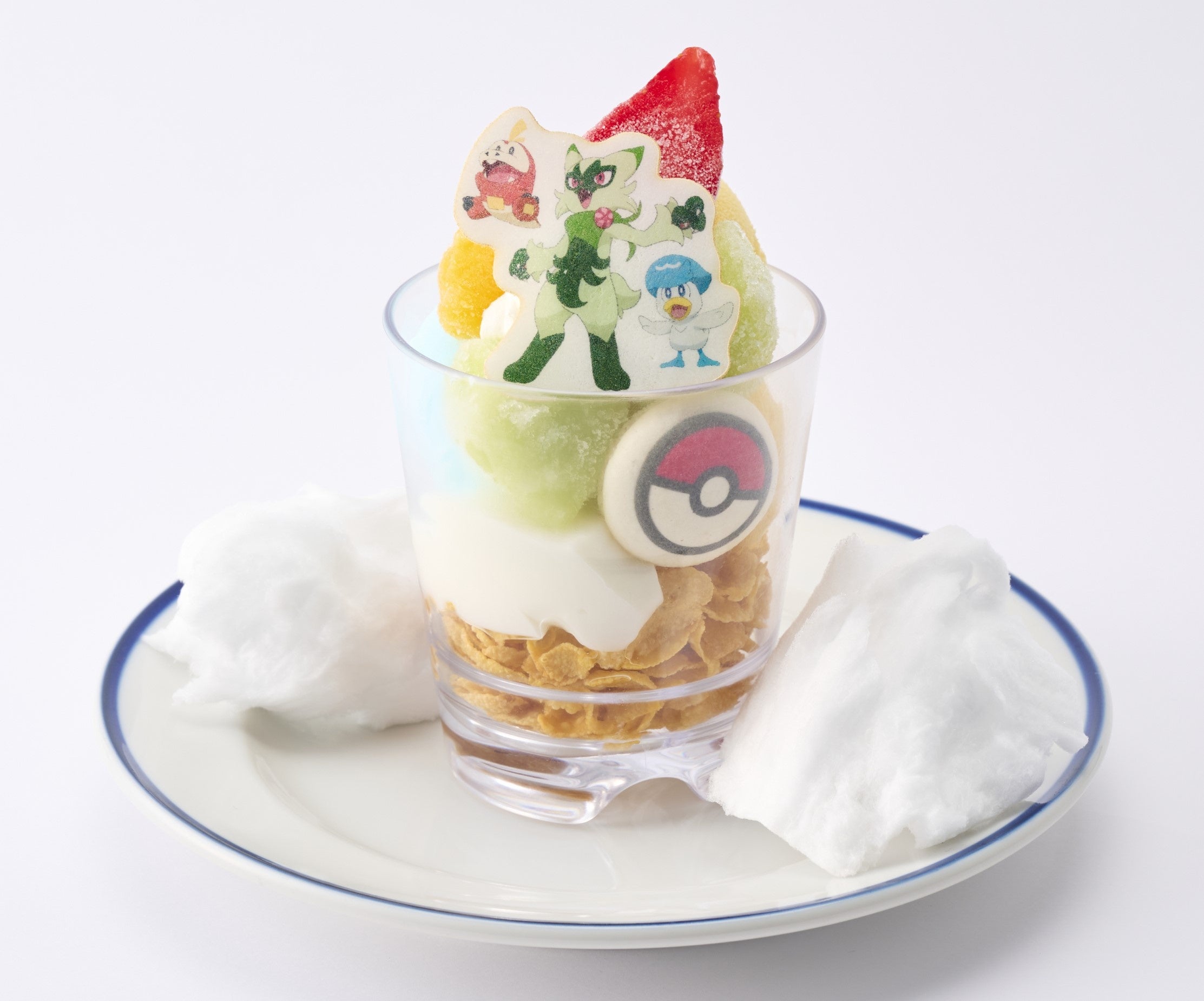テレビアニメ「ポケットモンスター」との初めての