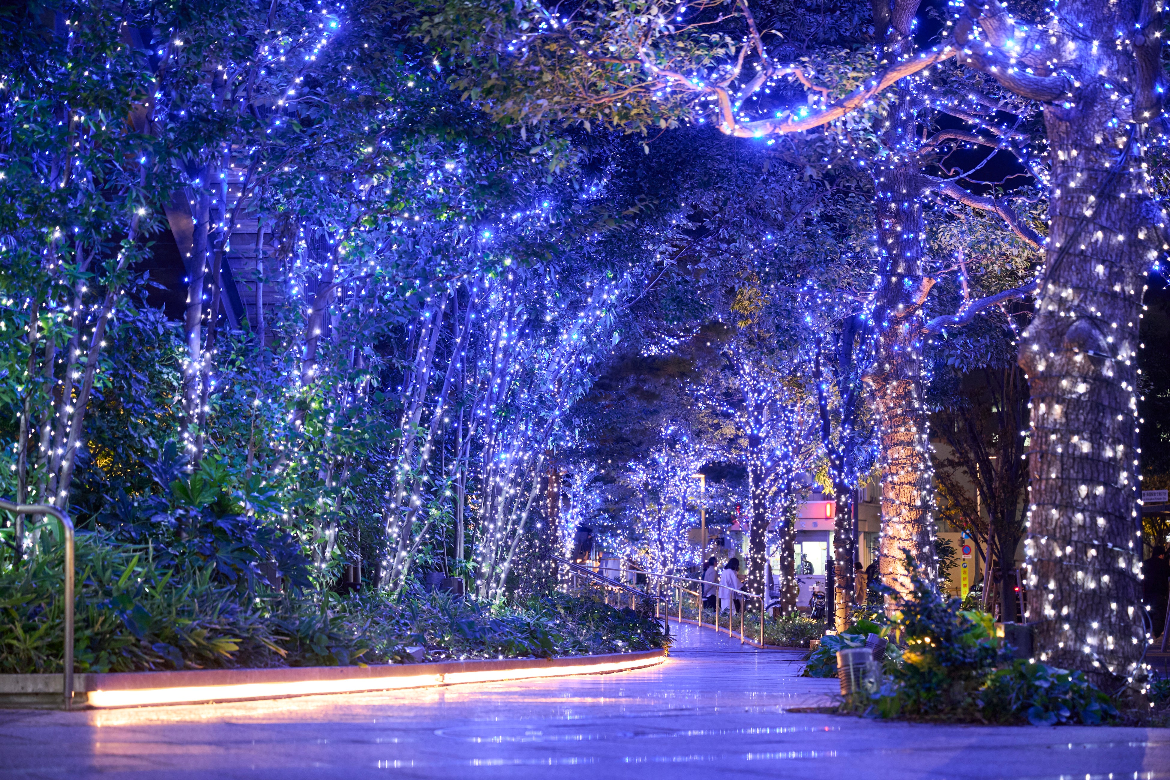 東京スカイツリータウン(R)ドリームクリスマス2025 クリスマス特別