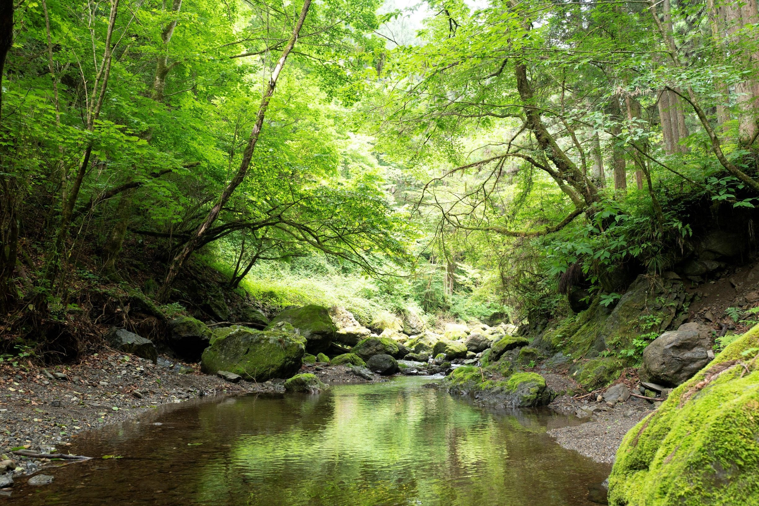 奥多摩町・海沢地区