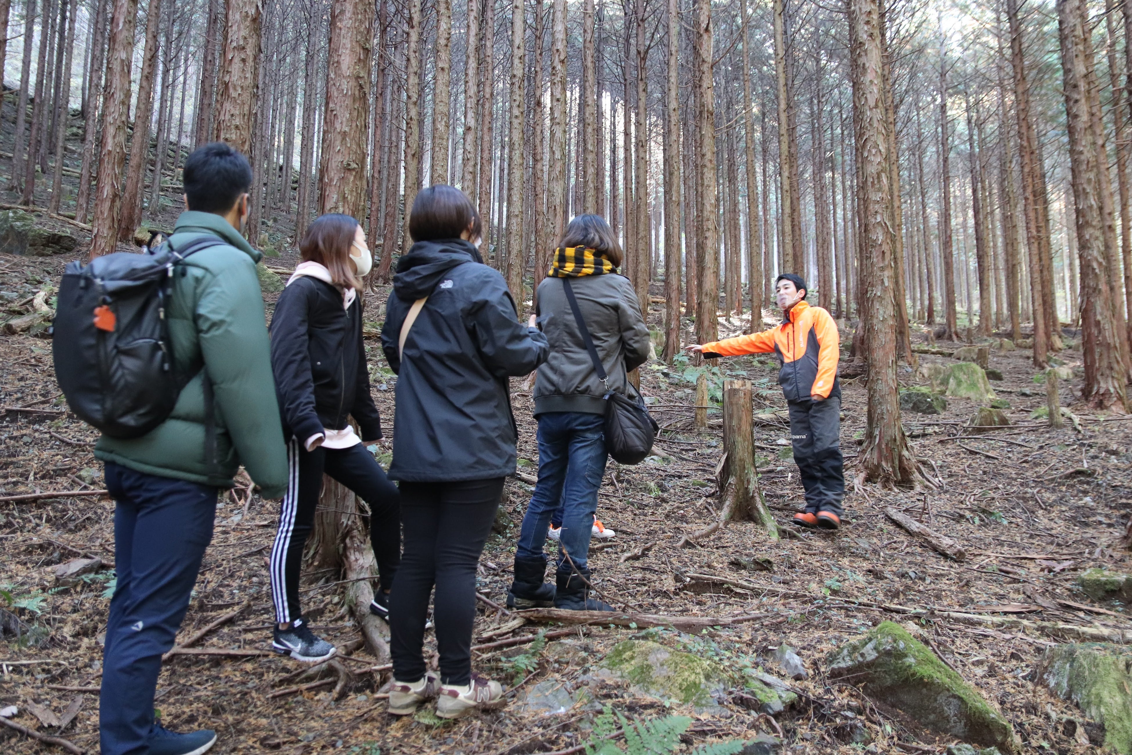 森林ガイドウォーク