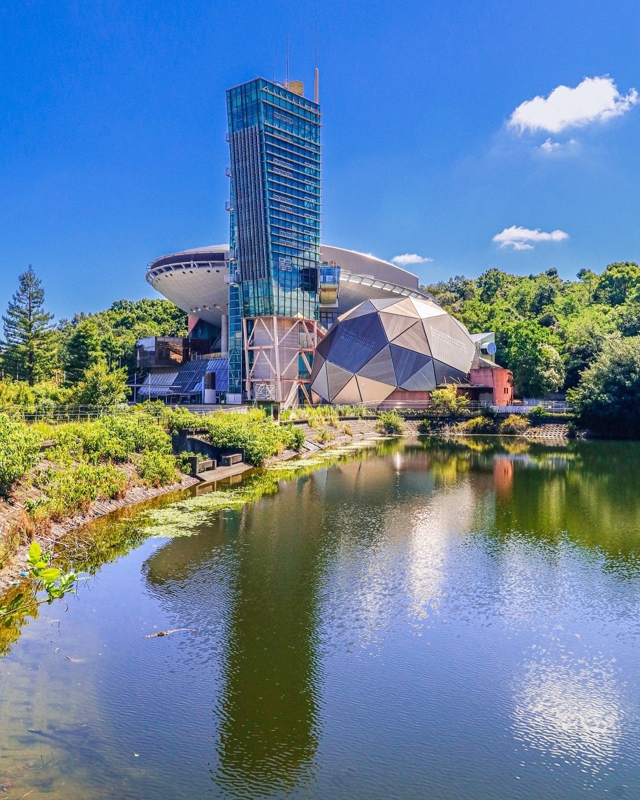 【ビッグバン外観】