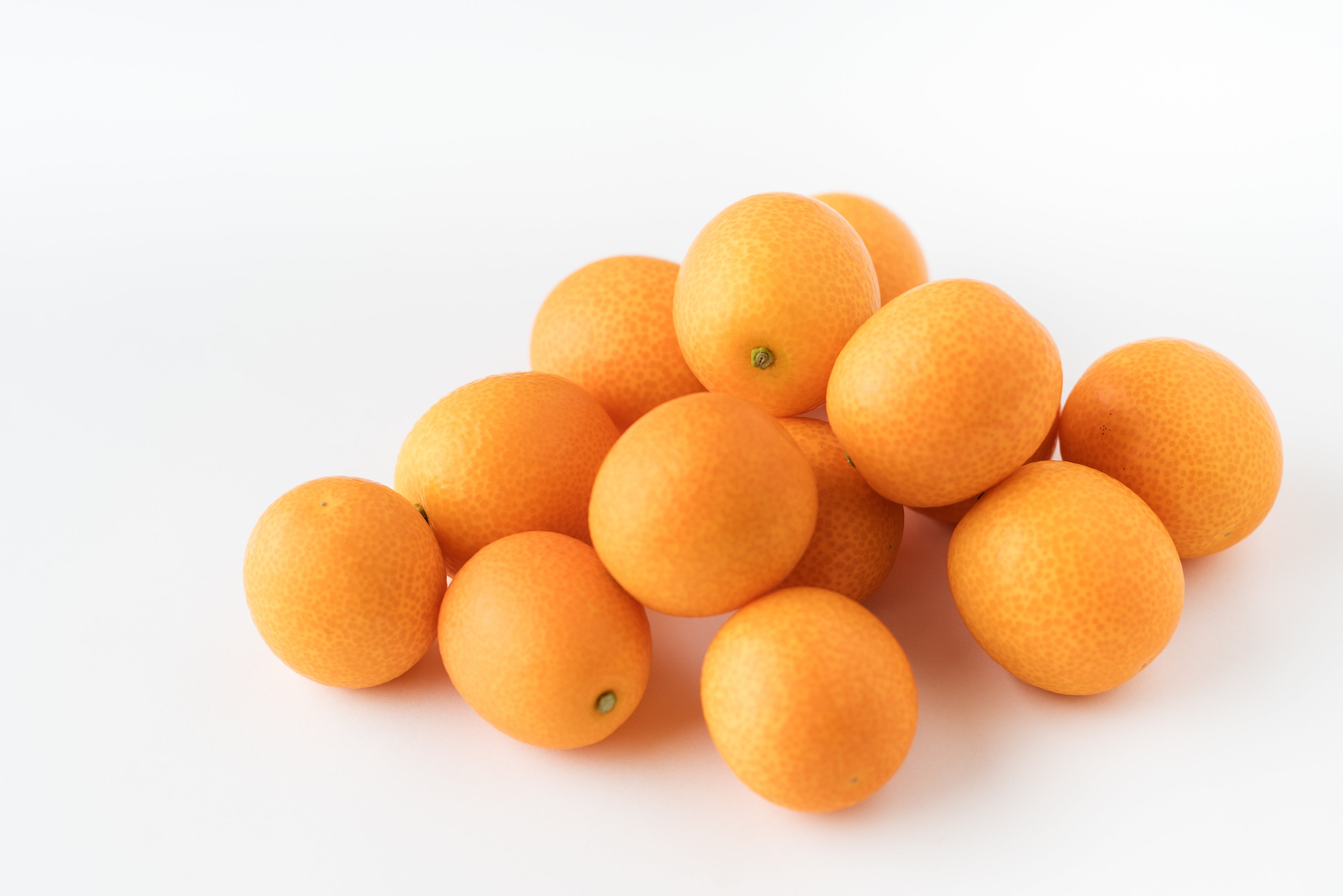 みやざきブランド推進本部提供