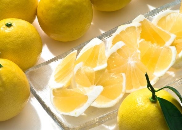 みやざきブランド推進本部提供