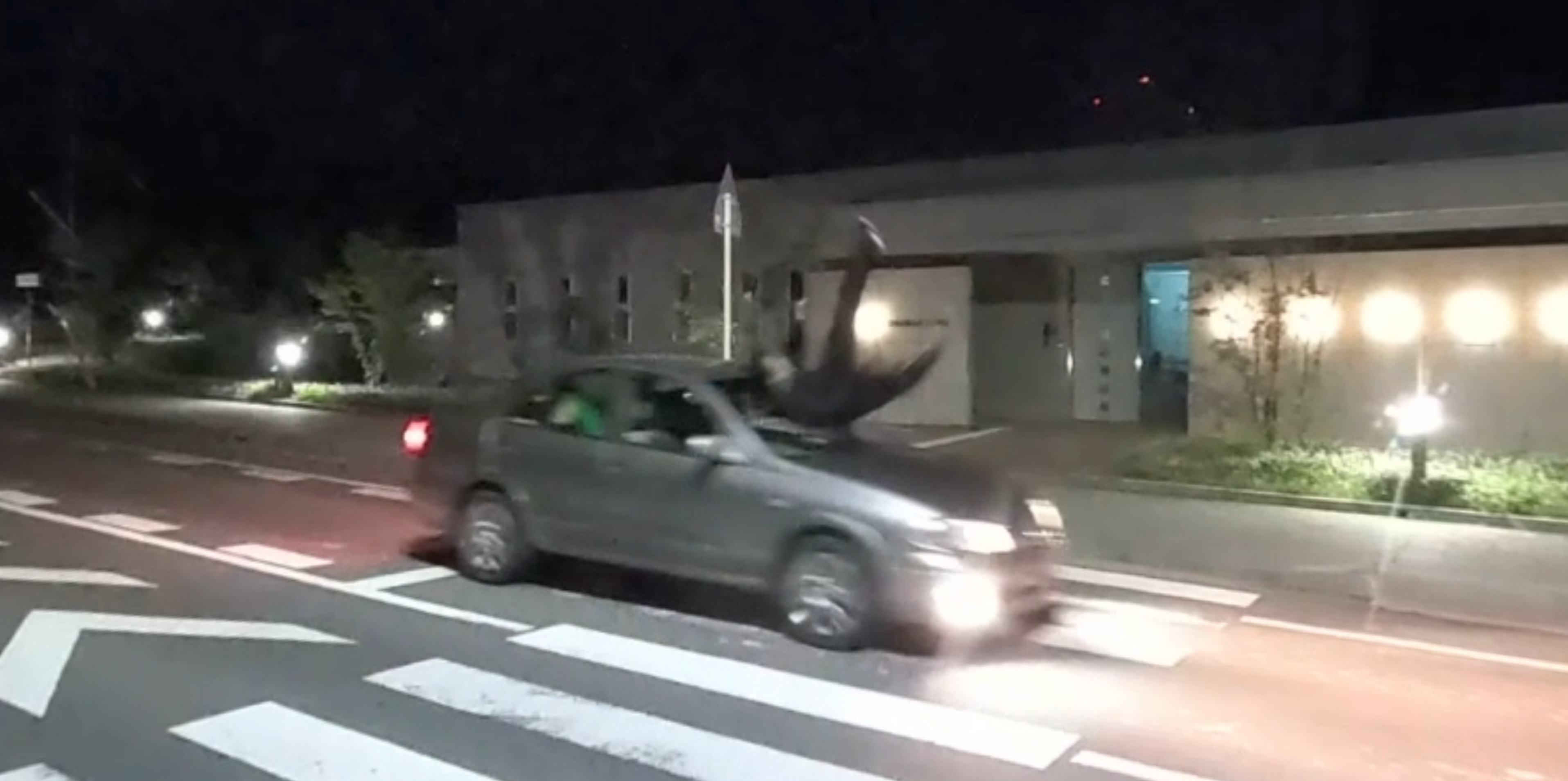 スタントシーン（第三者視点）