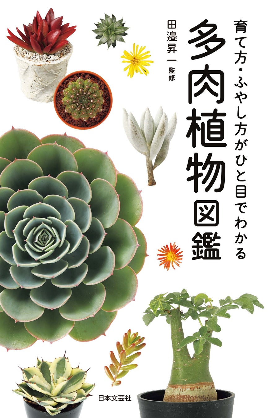 国内で入手可能な多肉植物997種類を網羅 育て方 ふやし方がひと目でわかる 多肉植物図鑑 2 15発売 株式会社日本文芸社のプレスリリース 国内で入手可能な多肉植物997種類を網羅 育て方 ふやし方がひと目でわかる 多肉植物図鑑 2 15発売 株式会社日本文芸社のプレスリリース