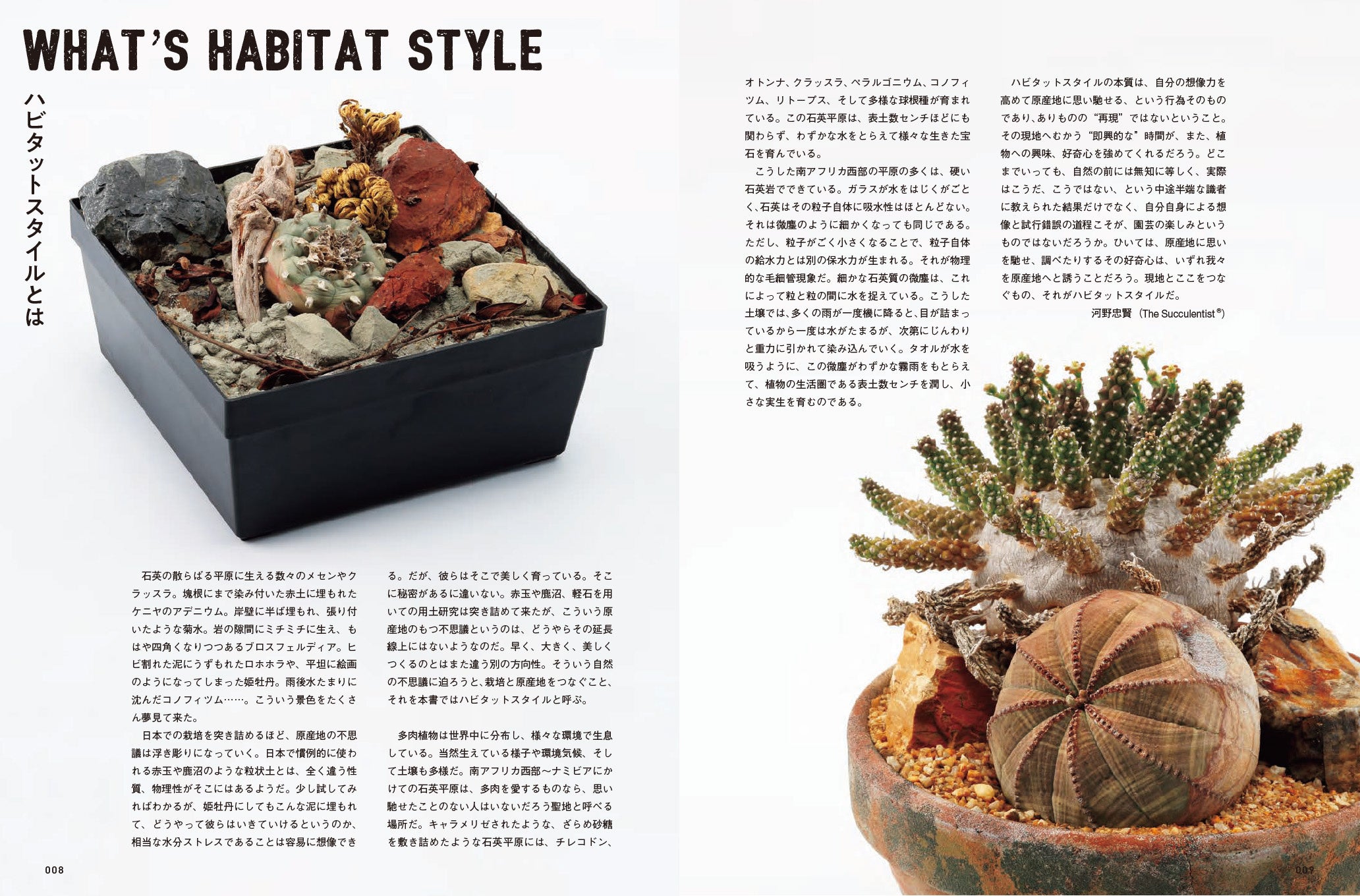 絶版希少　1965年刊行「原色シャボテン多肉植物大図鑑」　サボテン・アガベ・多肉 絶版 希少 原色シャボテン多肉植物大図鑑 1965年 サボテン