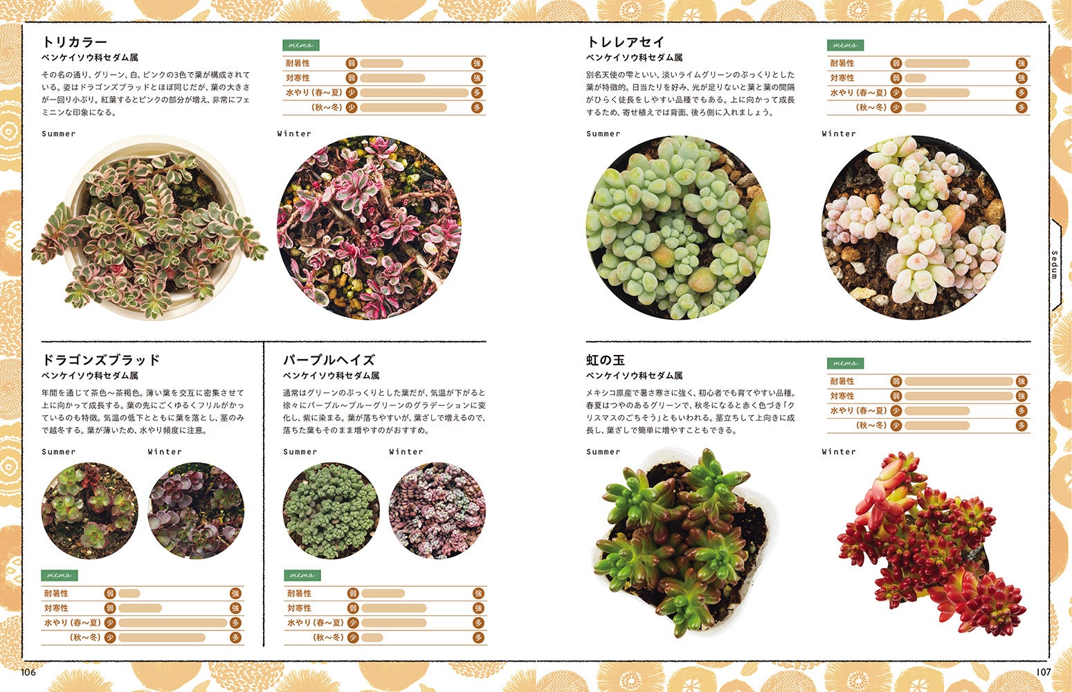 寄せ植えで人気の植物127種を集めた図鑑。春夏と紅葉した秋冬の色を掲載。