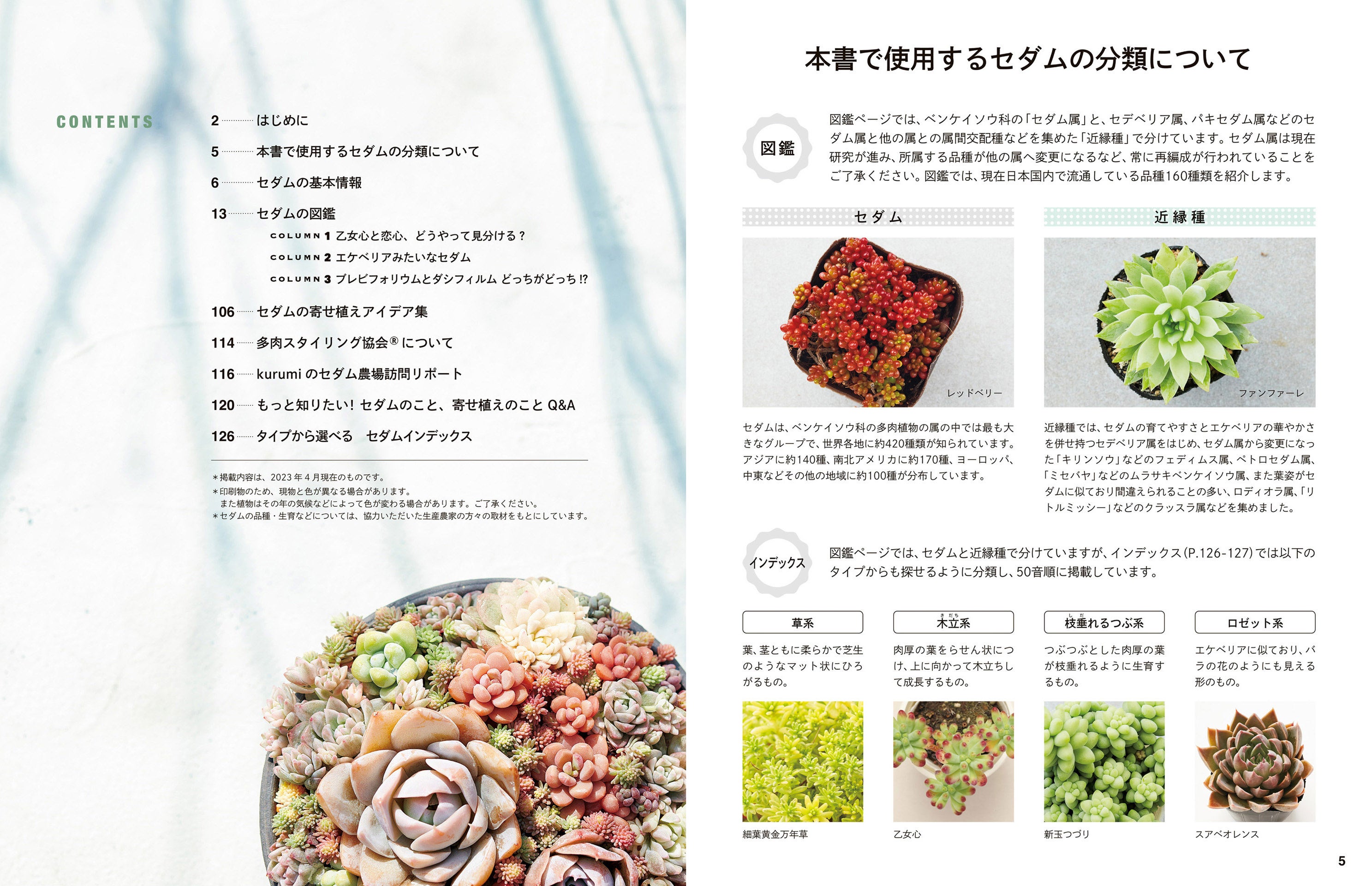 人気の多肉植物セダムに絞り込み、日本国内で流通する品種160種