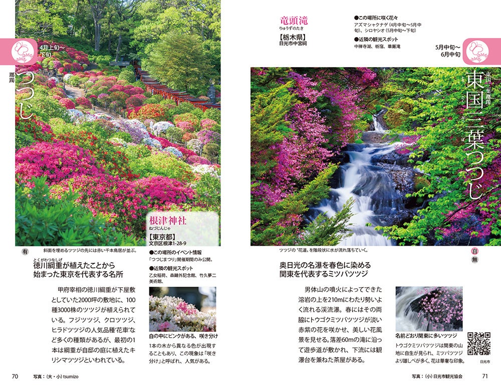 絶対行きたい全国の花風景をこの一冊に凝縮！『花めぐり図鑑』4