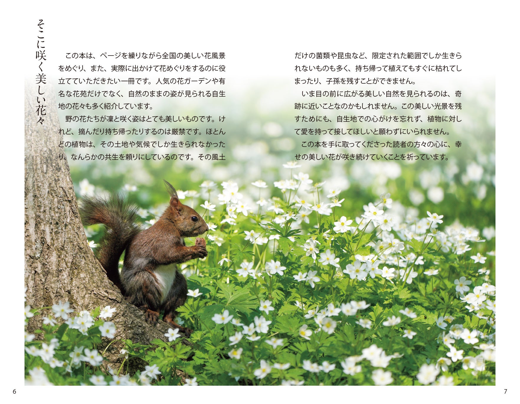 決定版　自然大図鑑　日本の花 絶対行きたい全国の花風景をこの一冊に凝縮！『花めぐり図鑑』4