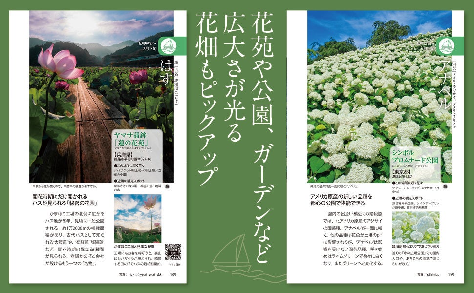 決定版　自然大図鑑　日本の花 絶対行きたい全国の花風景をこの一冊に凝縮！『花めぐり図鑑』4