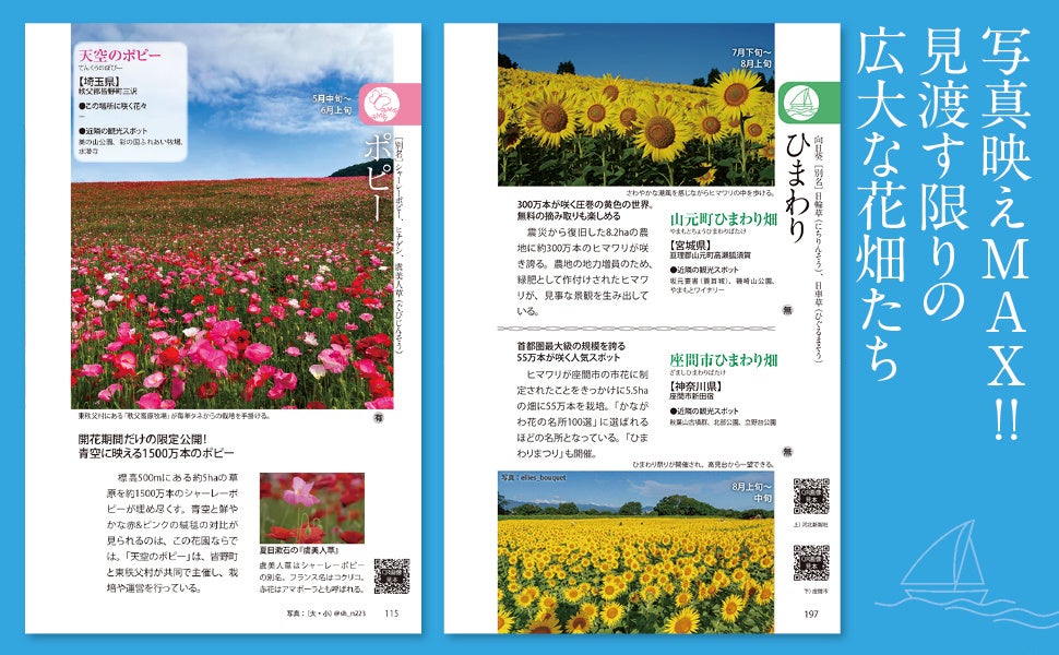 決定版　自然大図鑑　日本の花 絶対行きたい全国の花風景をこの一冊に凝縮！『花めぐり図鑑』4