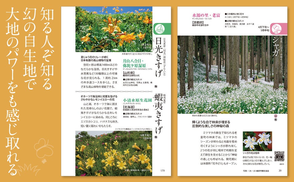 決定版　自然大図鑑　日本の花 絶対行きたい全国の花風景をこの一冊に凝縮！『花めぐり図鑑』4