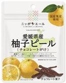 柑橘ピール[チョコレートがけ]