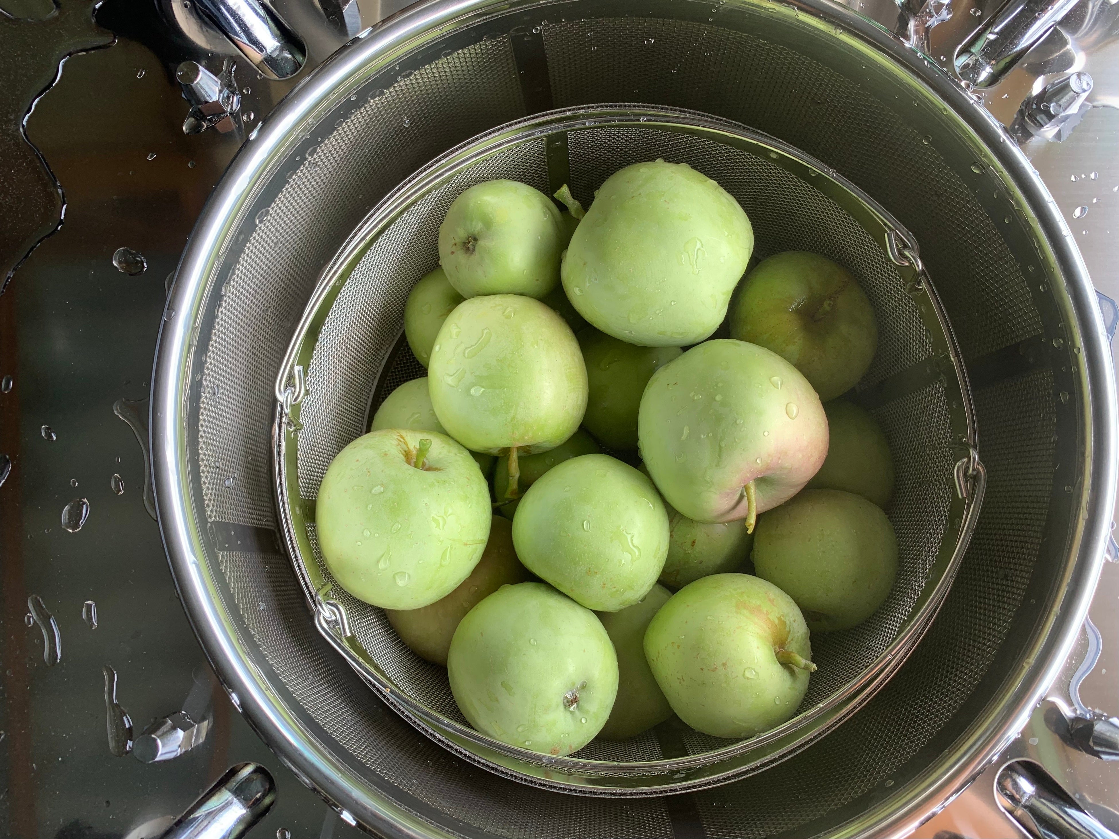 NANO分解前のりんご