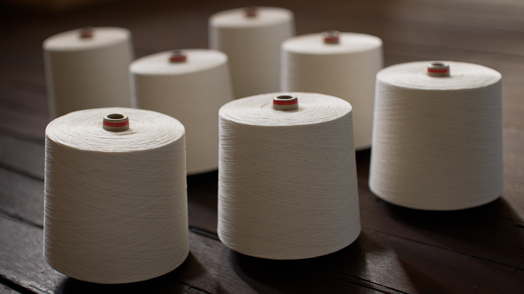 プロジェクト「TSUMUGI」の紙糸