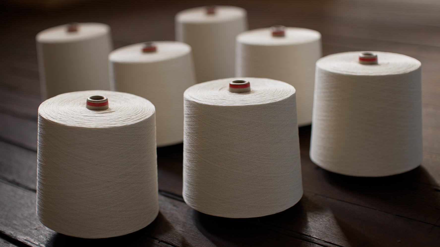 プロジェクト「TSUMUGI」の紙糸