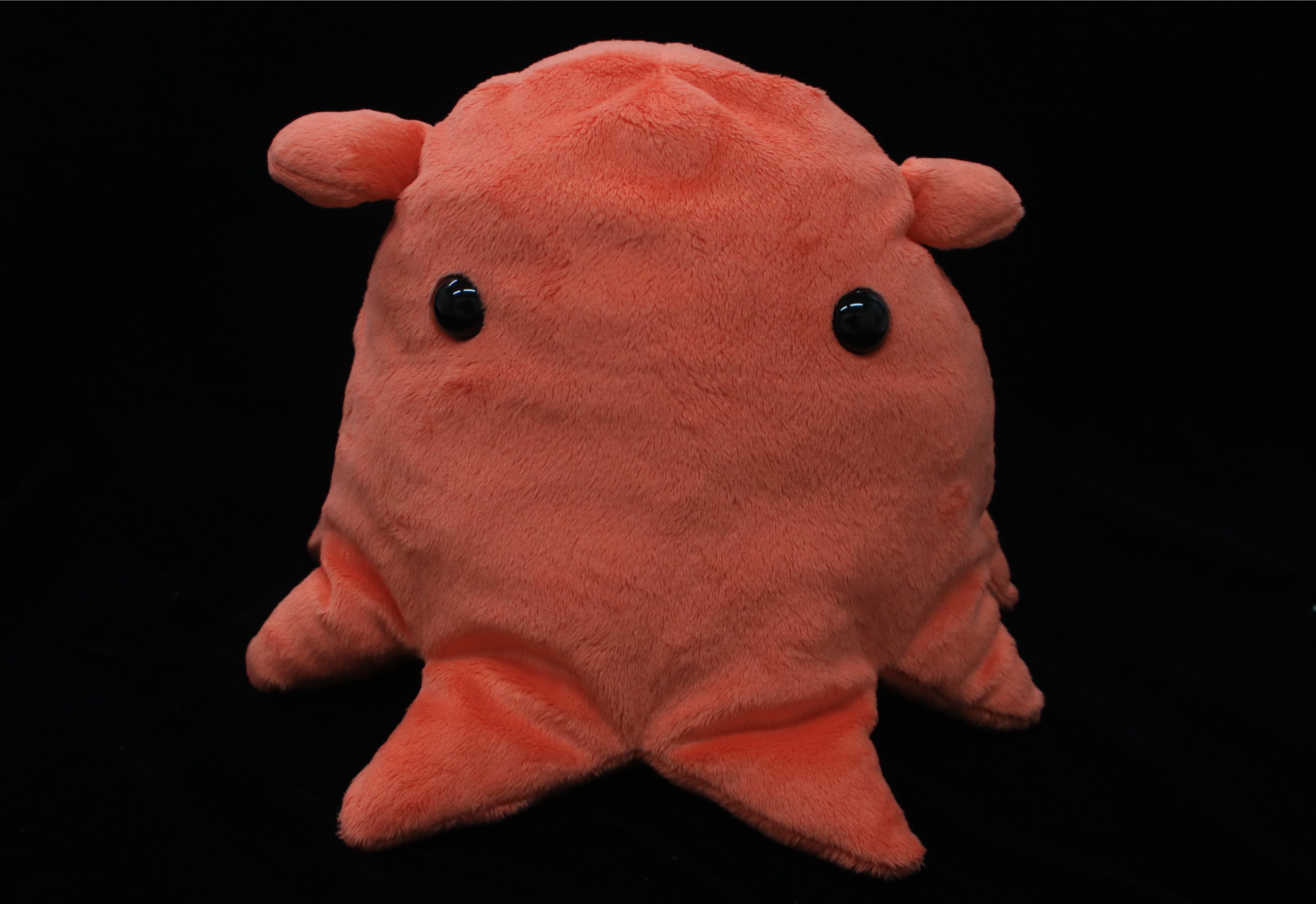 メンダコ(M)1,980円