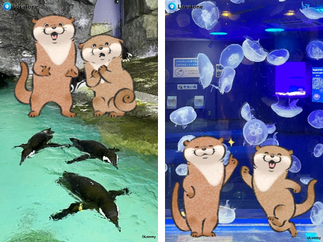 AR写真イメージ