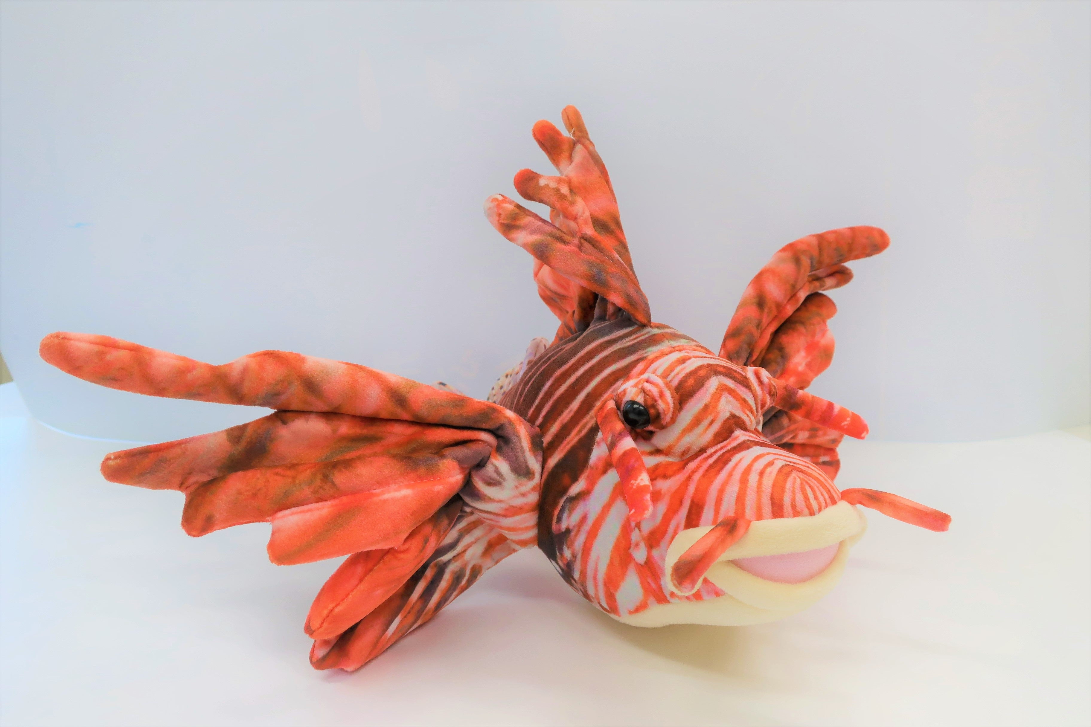 カラフルミノカサゴ