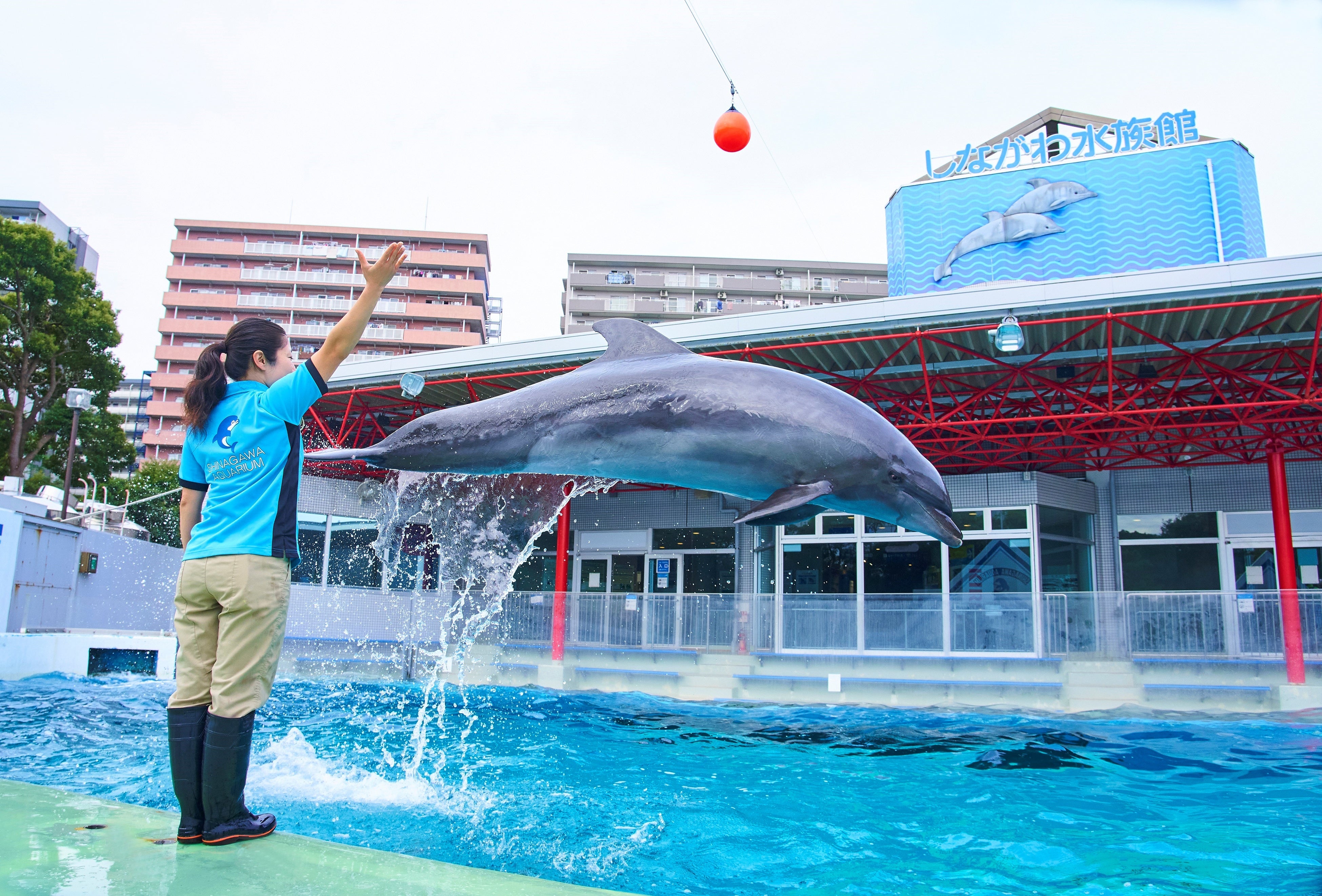 昭和、平成、いつも生き物たちがそばにいた「エモいぞ!! レトロ
