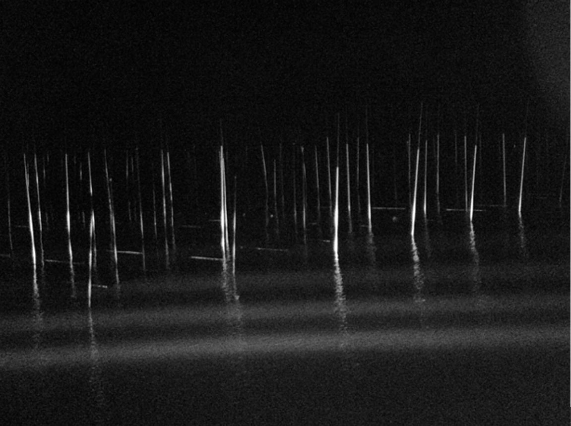 「ホロライト・ストライプライン」による海上カモ実験の様子