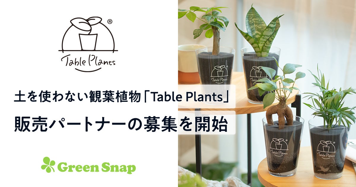 土を使わない観葉植物のD2Cブランド「Table Plants」、販売パートナー
