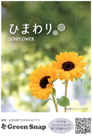 Greensnap Marche 22春の開催決定 横浜 福岡 Greensnap株式会社のプレスリリース