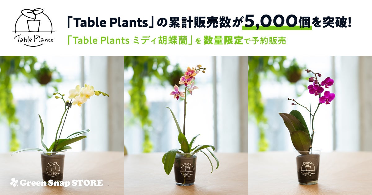 GreenSnap】 土を使わない観葉植物「Table Plants」の累計販売数が