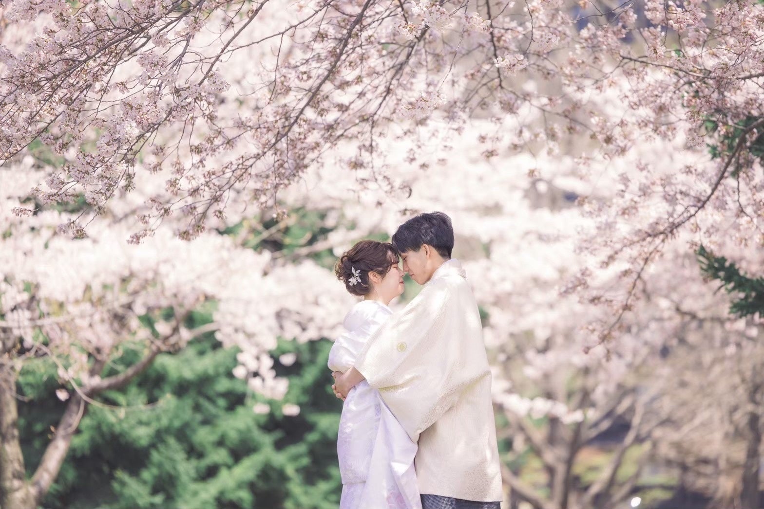 2024年3月ぱれっとで叶える北海道ロケーションフォトがスタートいたします! | 有限会社三景スタジオのプレスリリース