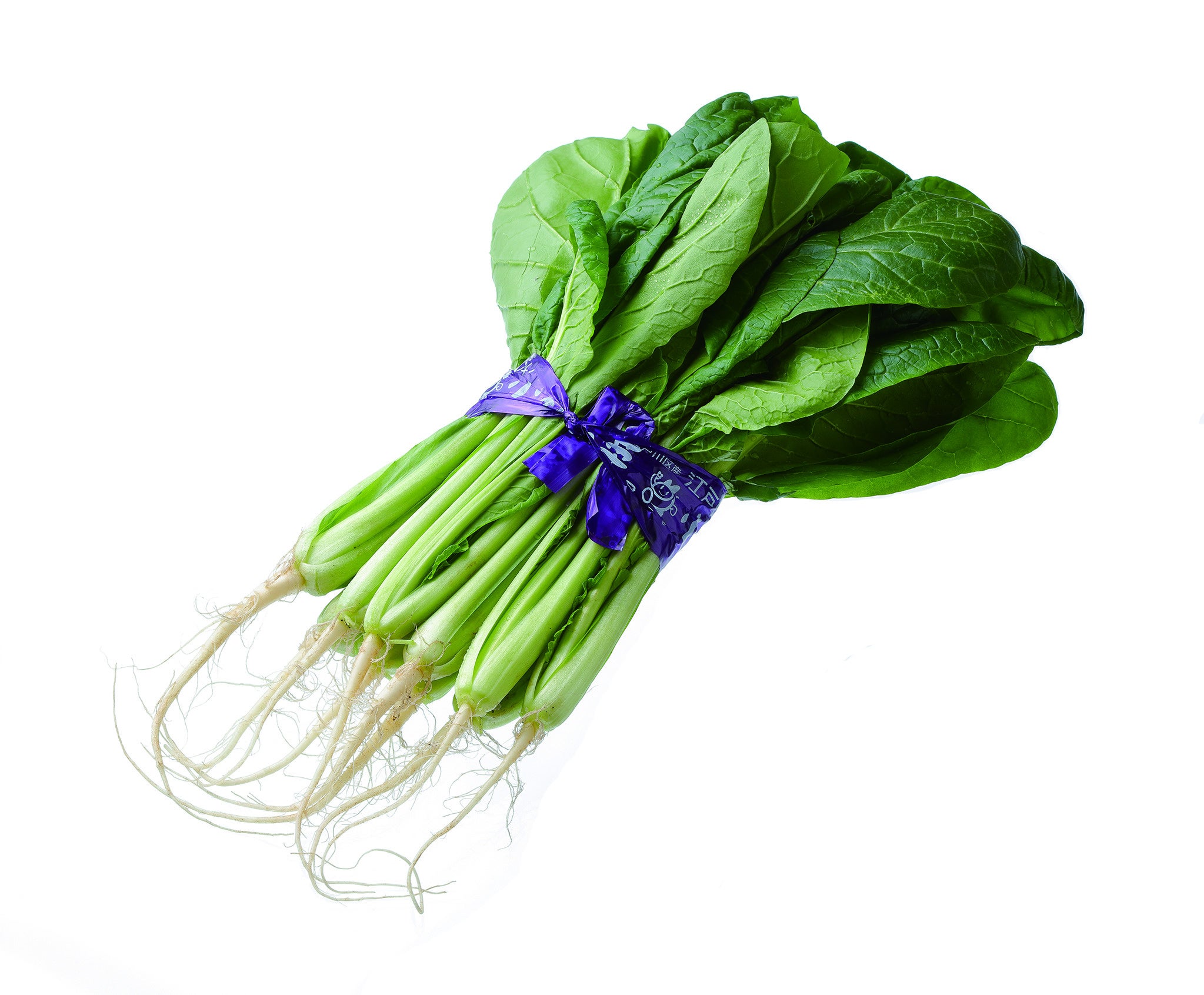 ごせき晩生小松菜