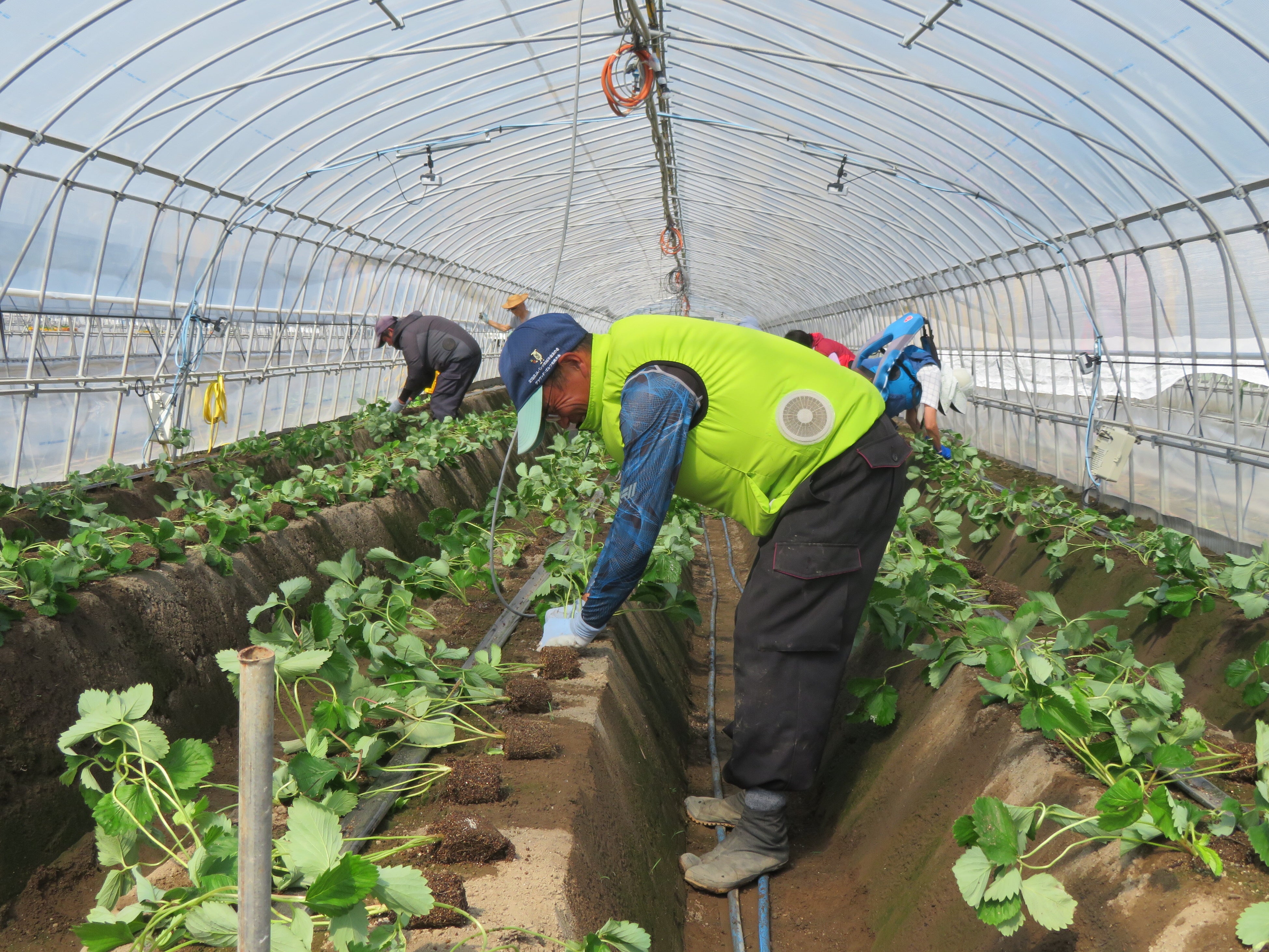 マッスルスーツの非着用時（慣行区）