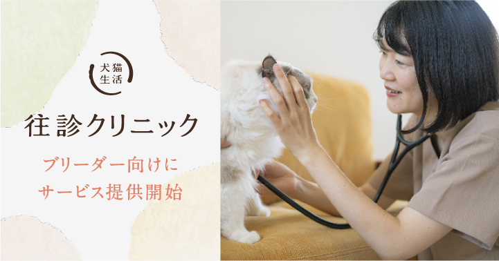 裁断済み　犬と猫の運動器診療ファーストタッチ 犬と猫の運動器診療ファーストタッチ 株式会社 緑書房