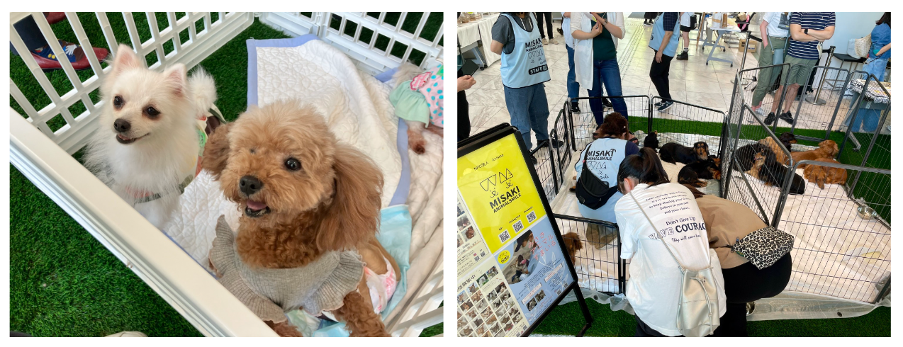 イベントレポート】犬猫生活、初の1日限定イベントに1,000人以上