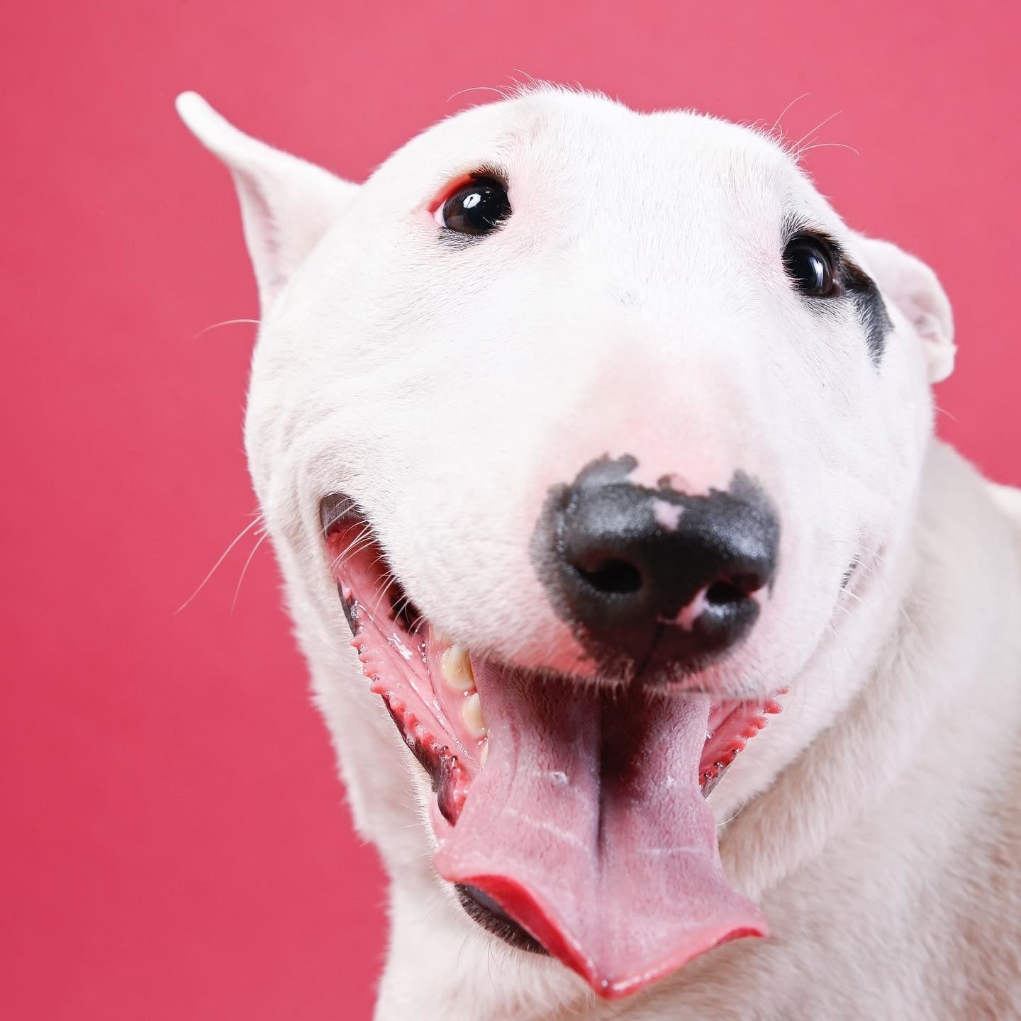 その子の可愛い表情を引き出していきます