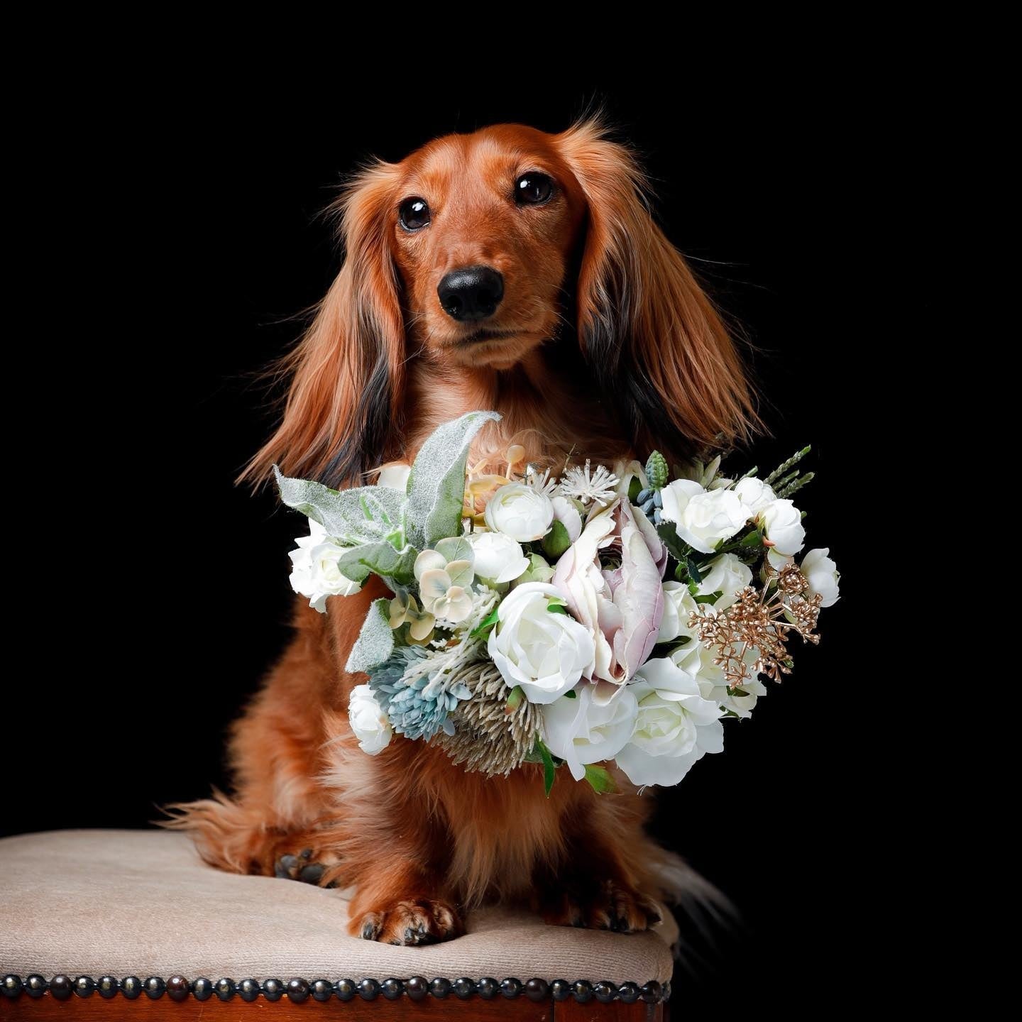 メインイメージの花輪写真