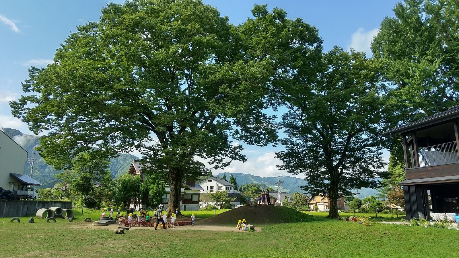 樹齢200年を超えるけやきの木が見守る南魚沼どろんこ保育園の園庭