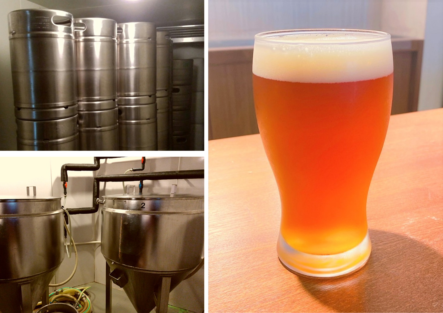 醸造所から出来立てのTrasz Aleの写真をお届けします！