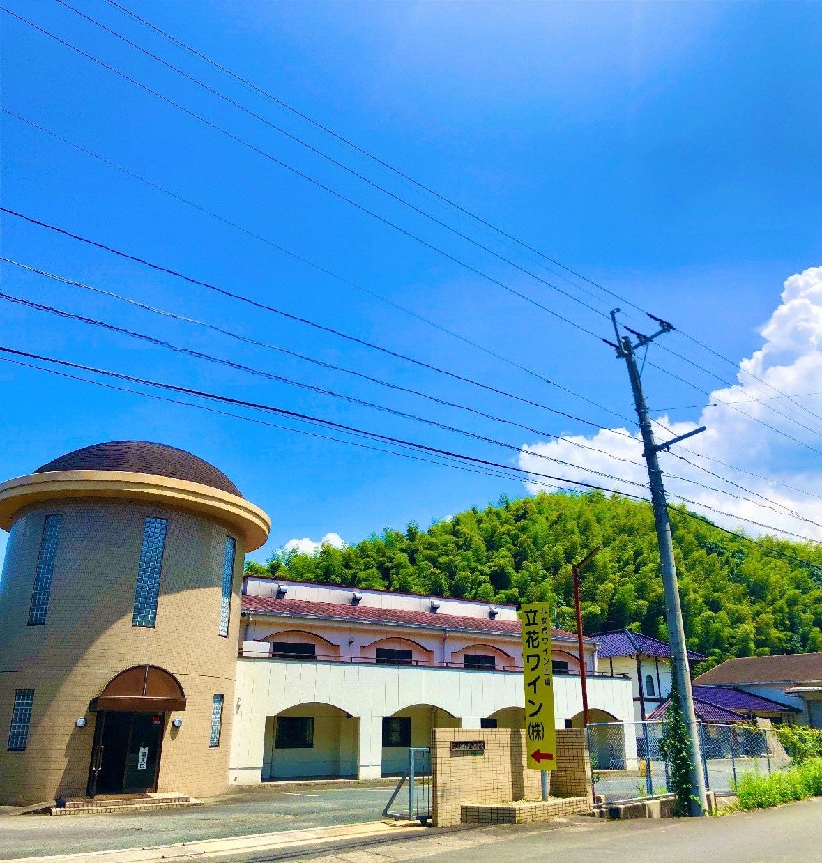 立花ワイン工場