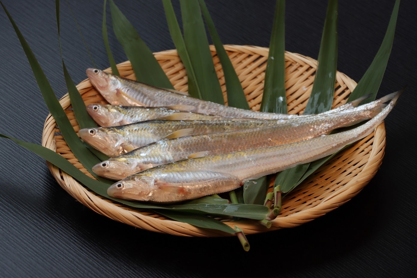 新鮮なえつ