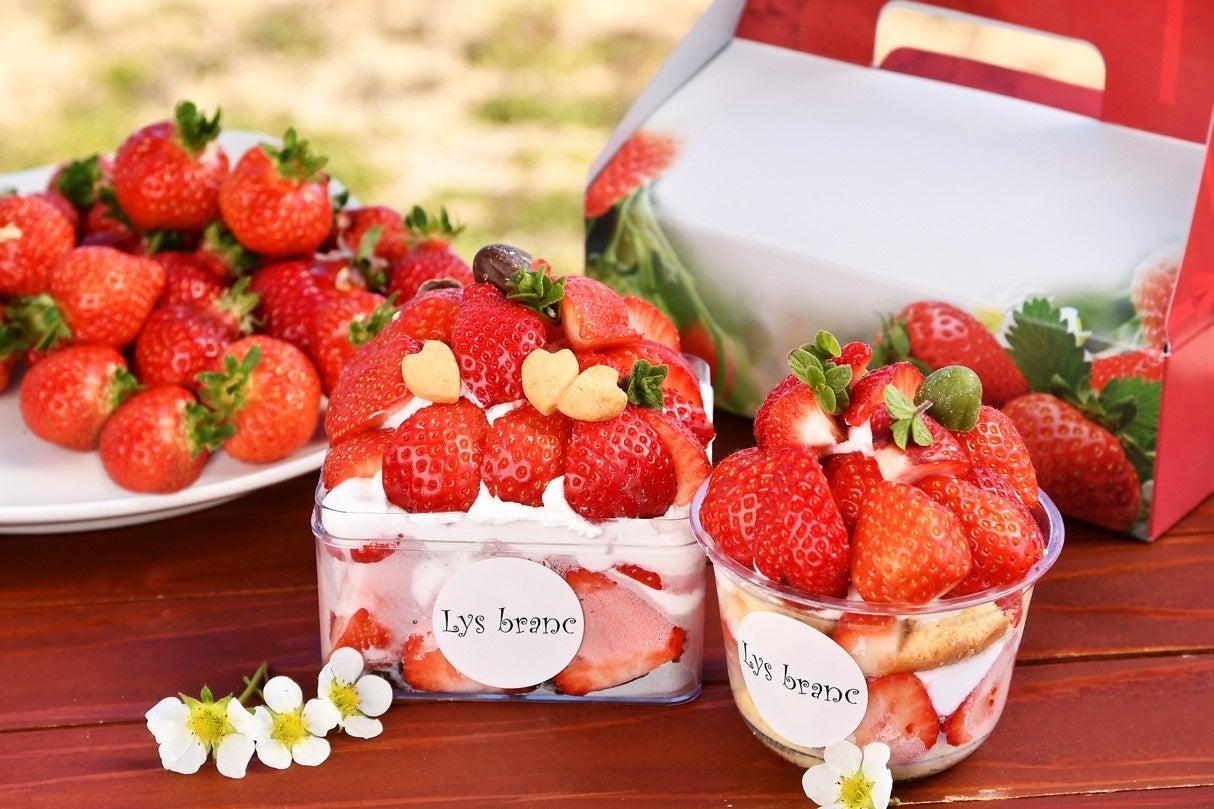 あまおうとこだわり生クリームのパティシエ体験2026