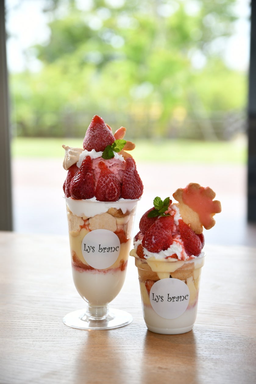 フローズンあまおうでパティシエ体験2026 in Summer ~無添加素材でつくるひんやり 贅沢パフェ~