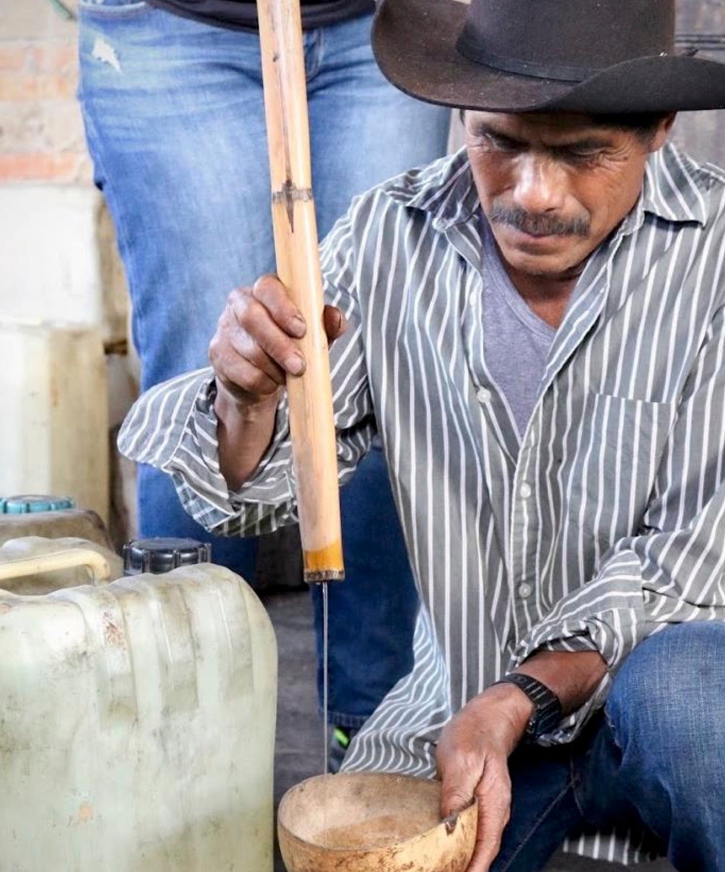 デルマゲイ チチカパ生産者 ファウスティーノ・ガルシア・バスケス