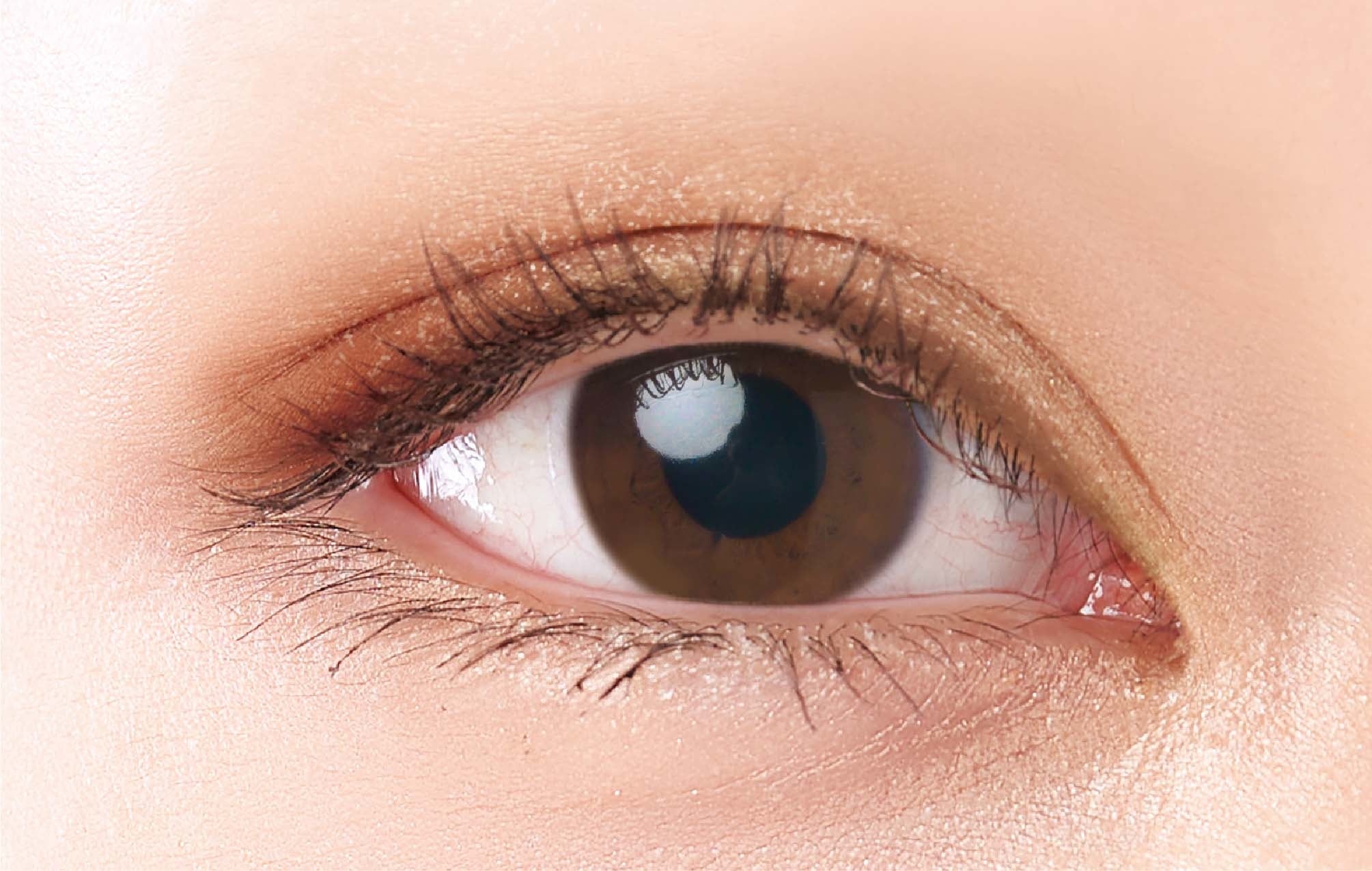 仕上がりイメージ