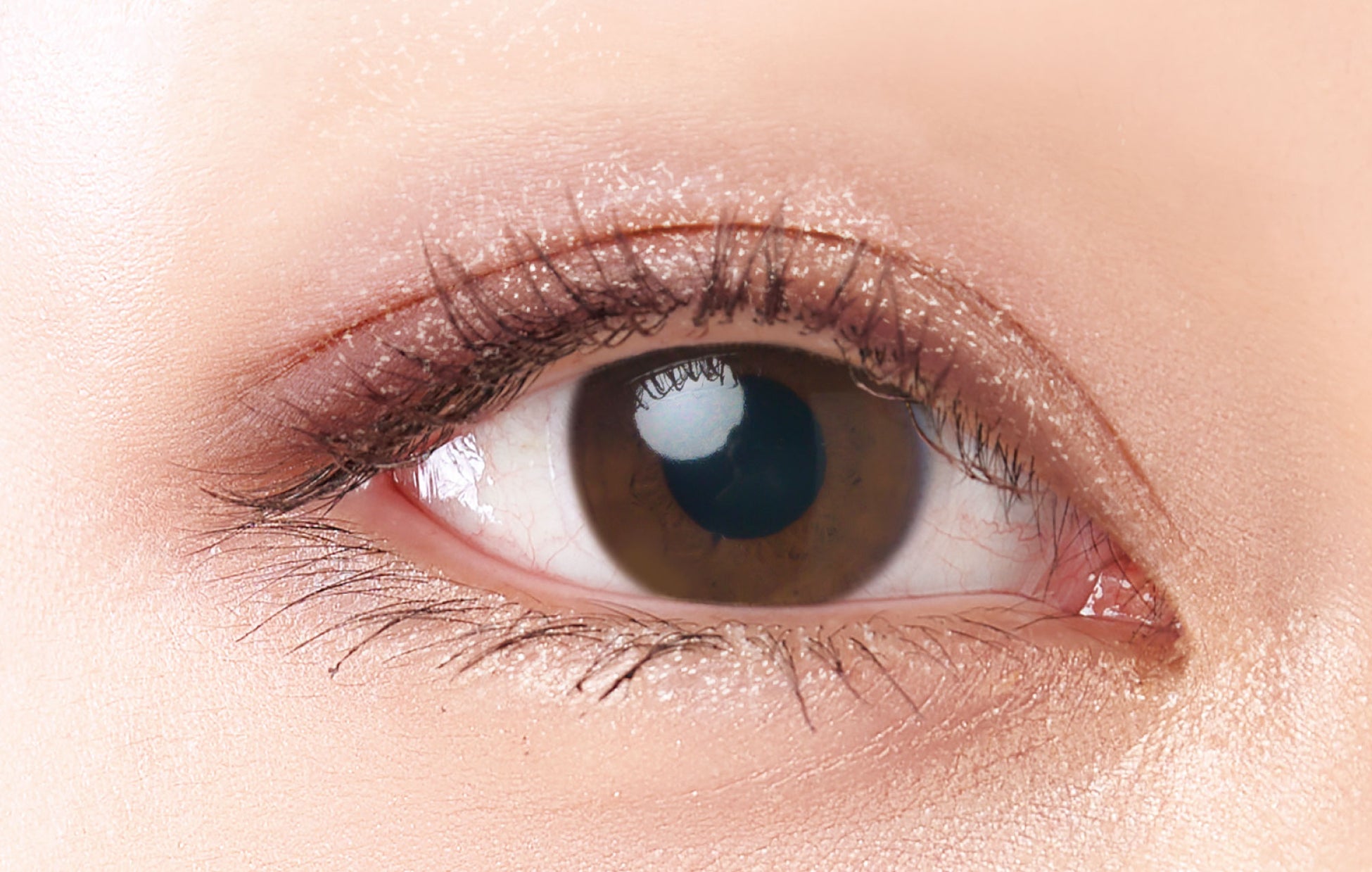 ※塗布イメージ