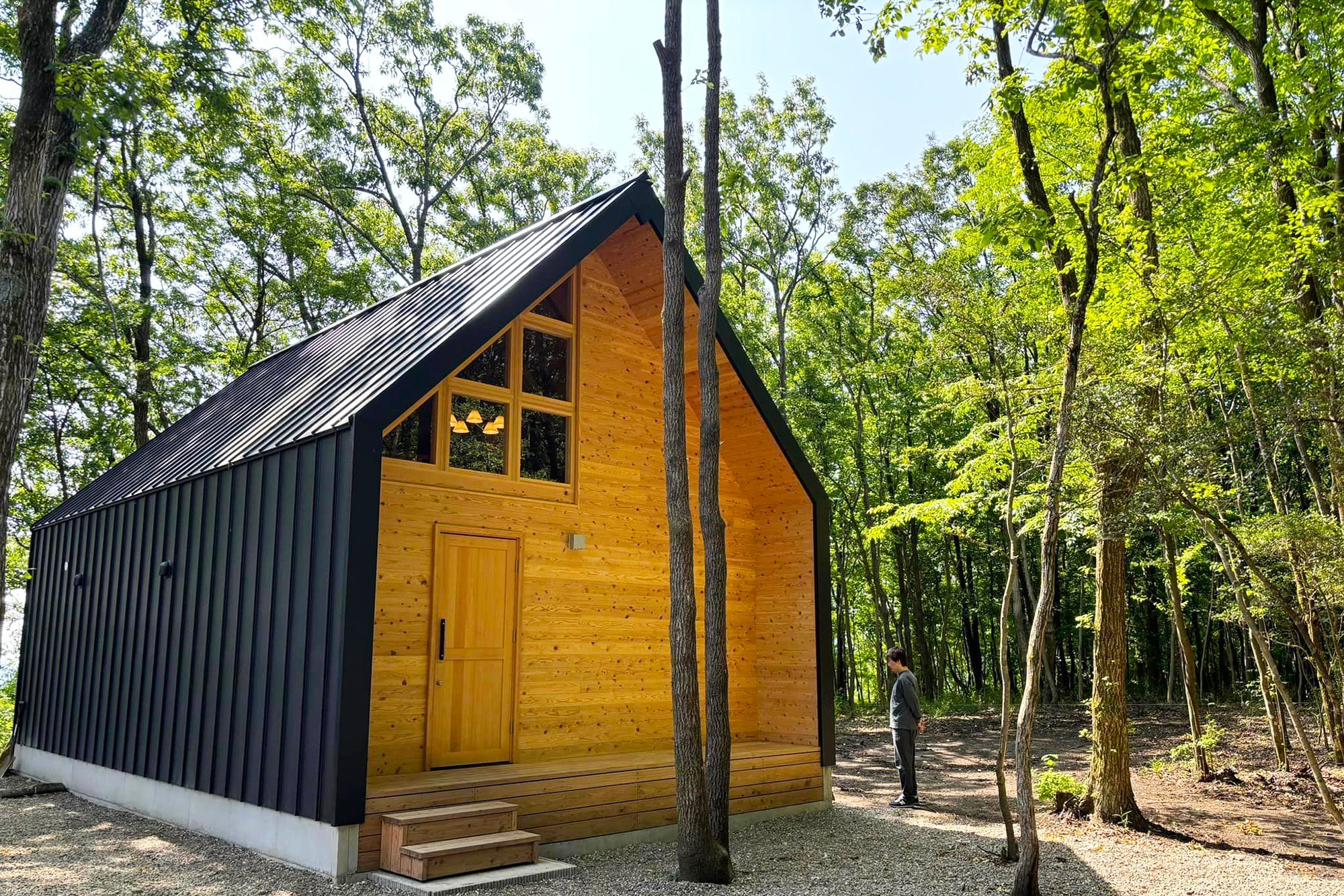 YUFUIN HOGONEKO FORESTの保護猫と泊まれるコテージ